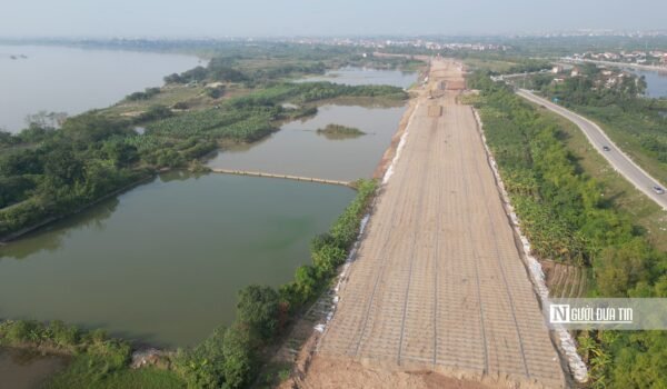 tải xuống (75) tải xuống (75)